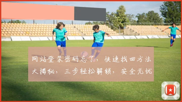 网站登录密码忘了，快速找回方法大揭秘，三步轻松解锁，安全无忧