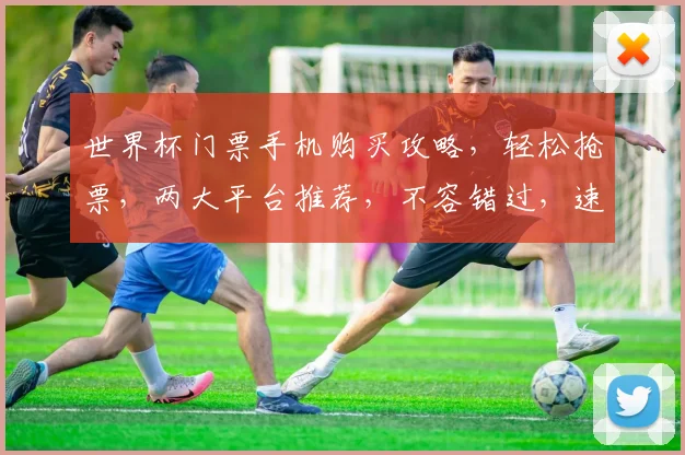 世界杯门票手机购买攻略，轻松抢票，两大平台推荐，不容错过，速来